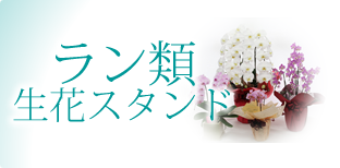 ラン類生花スタンド